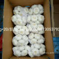 Factory Wholesale Fresh Garlic Price